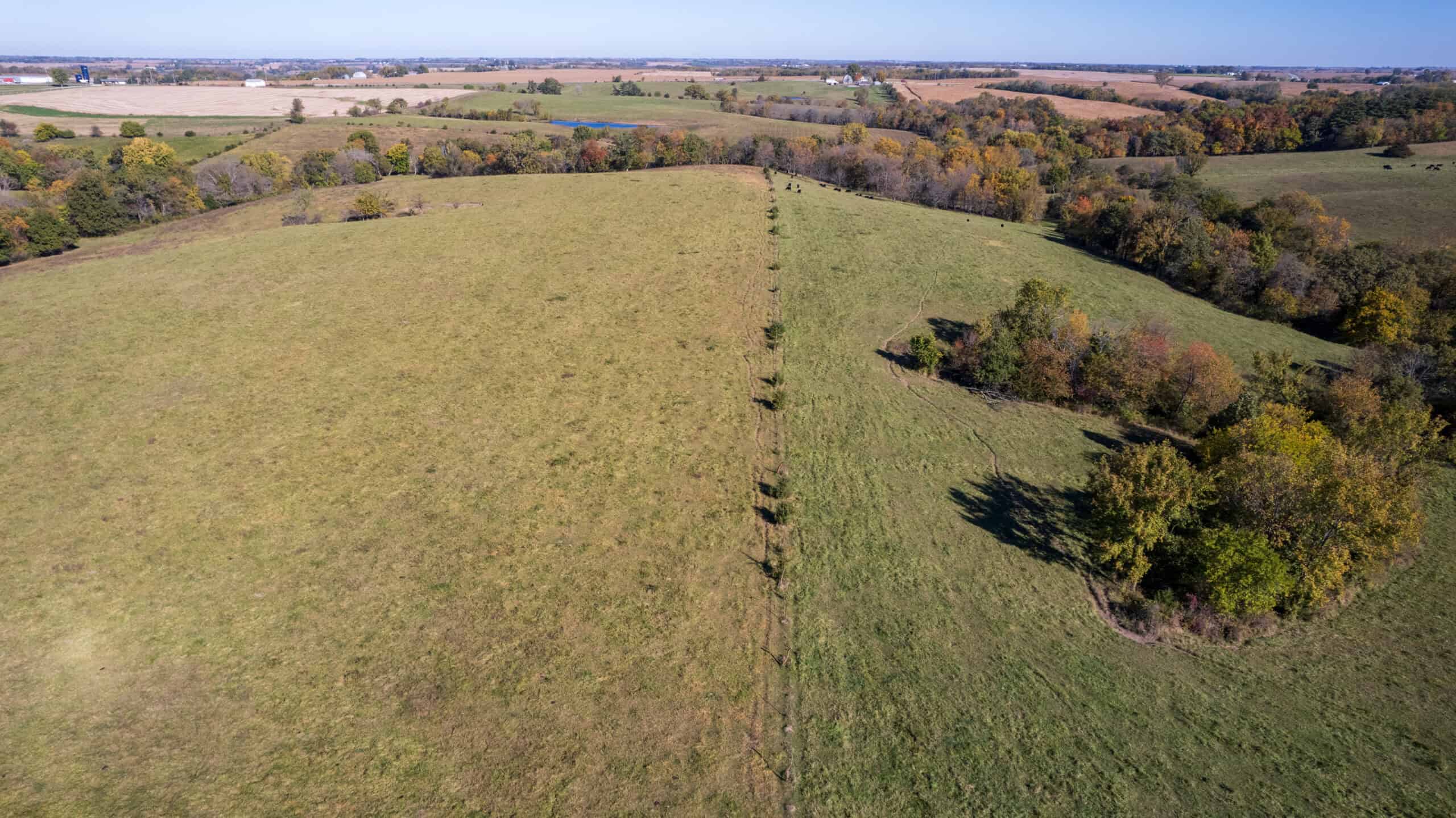 Marion County, Iowa – 143+/- Acre Combination Farm with Recreational and Hunting Potential