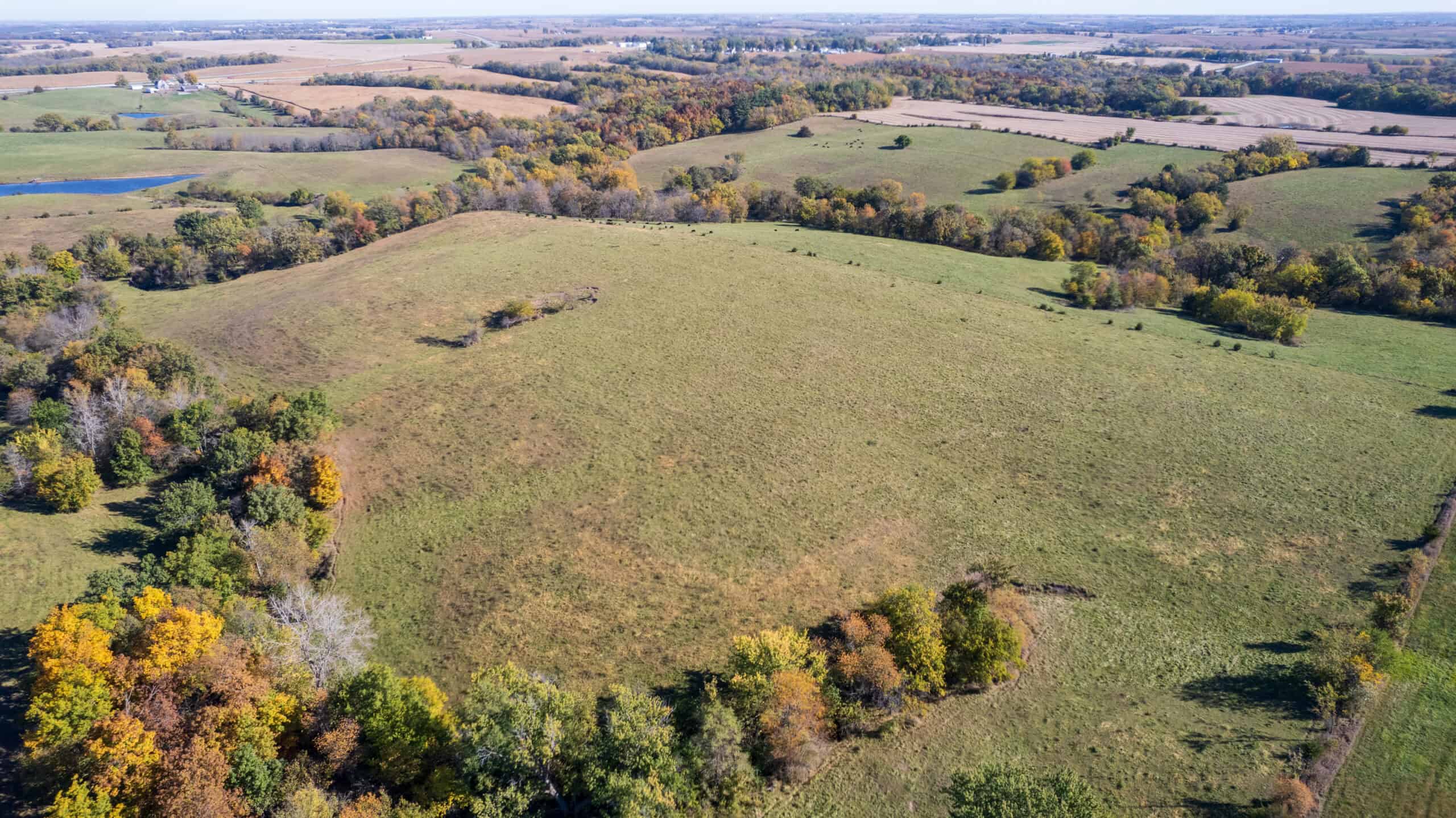 Marion County, Iowa – 143+/- Acre Combination Farm with Recreational and Hunting Potential