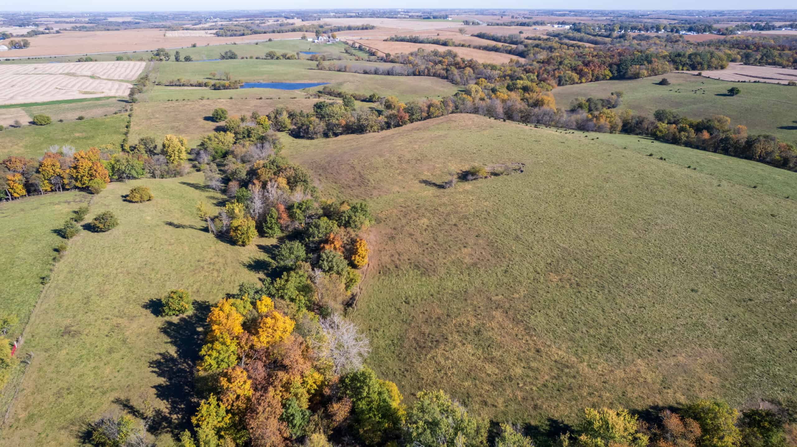 Marion County, Iowa – 143+/- Acre Combination Farm with Recreational and Hunting Potential