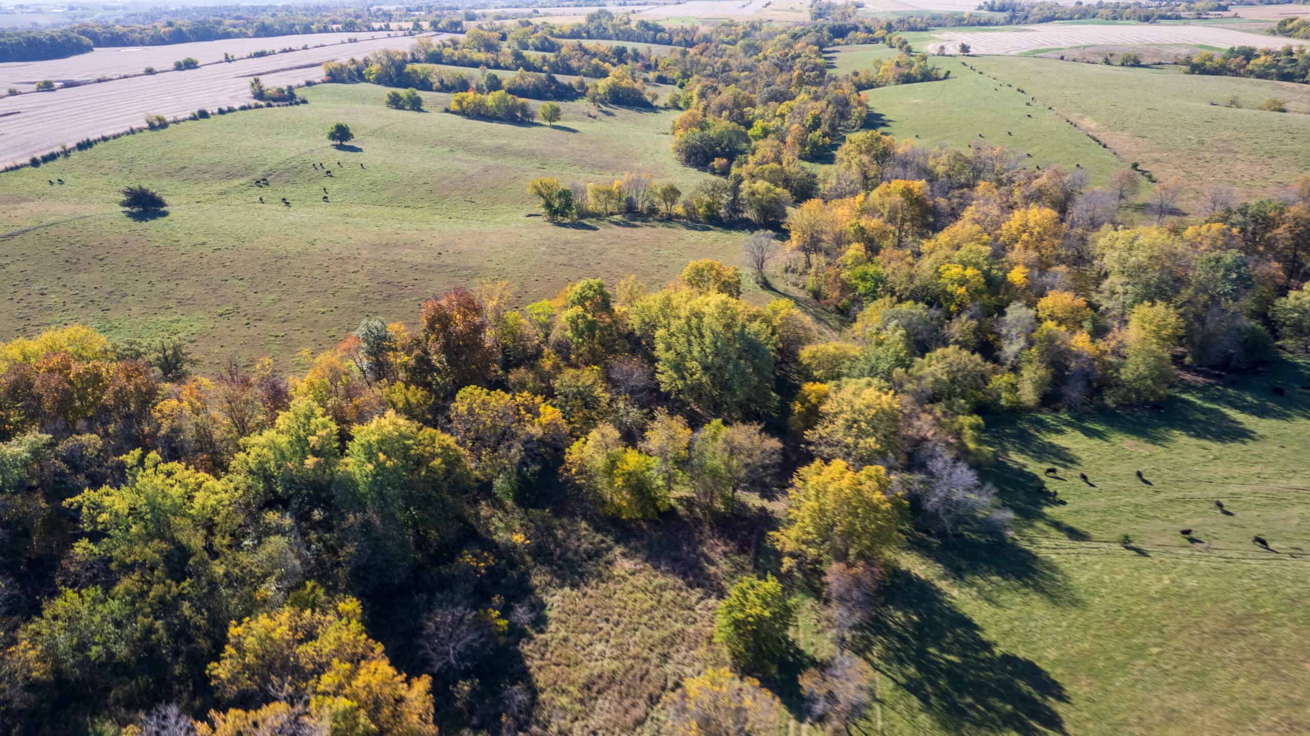 Marion County, Iowa – 143+/- Acre Combination Farm with Recreational and Hunting Potential