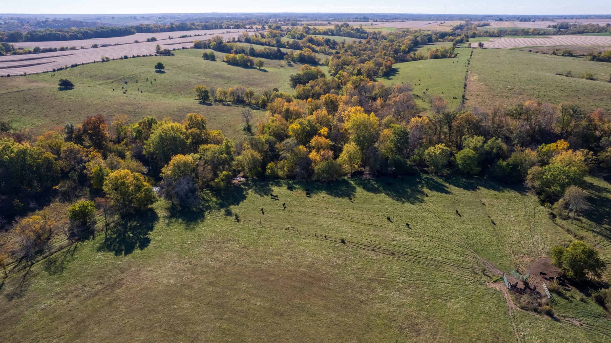 Marion County, Iowa – 143+/- Acre Combination Farm with Recreational and Hunting Potential