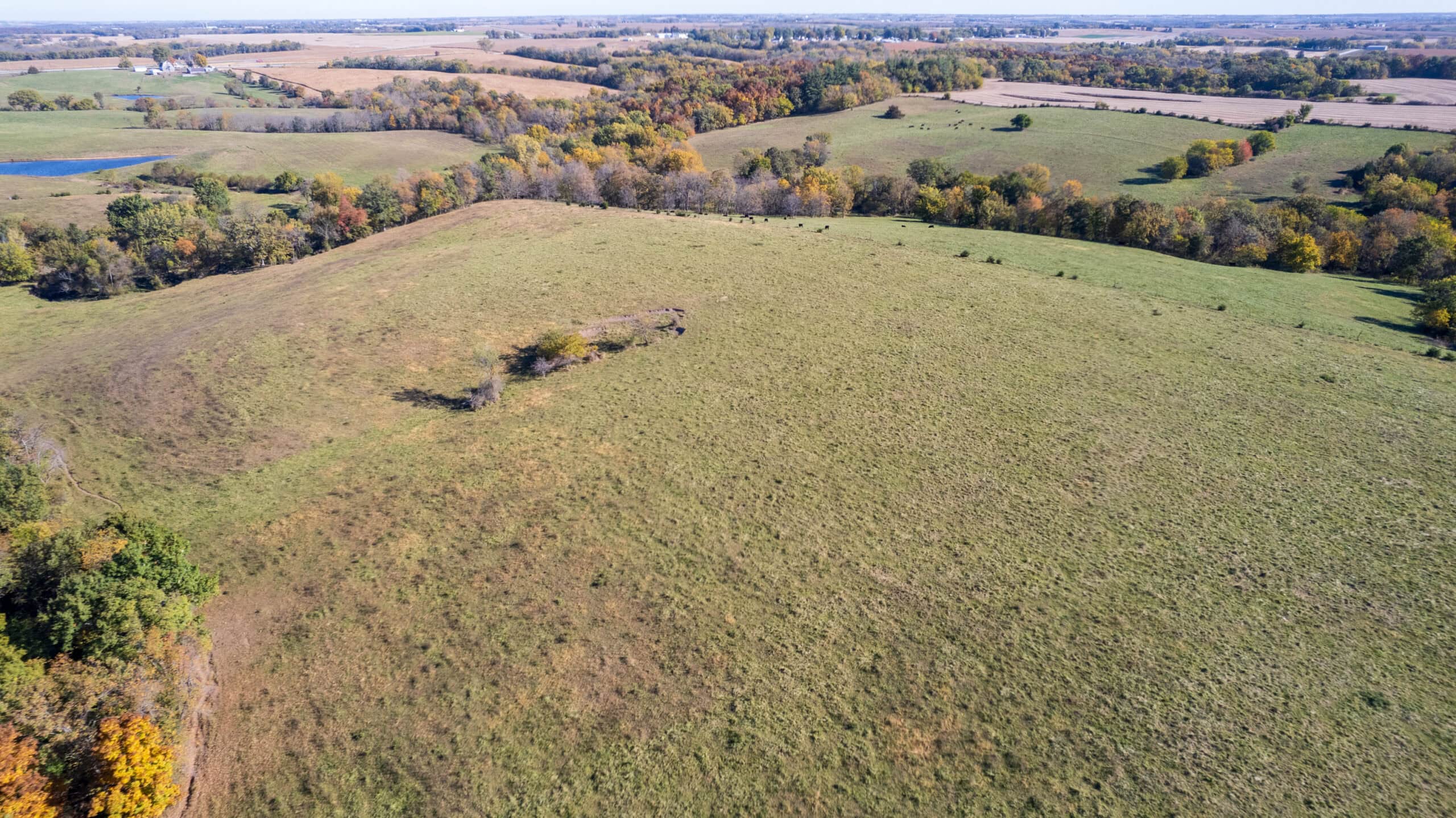 Marion County, Iowa – 143+/- Acre Combination Farm with Recreational and Hunting Potential