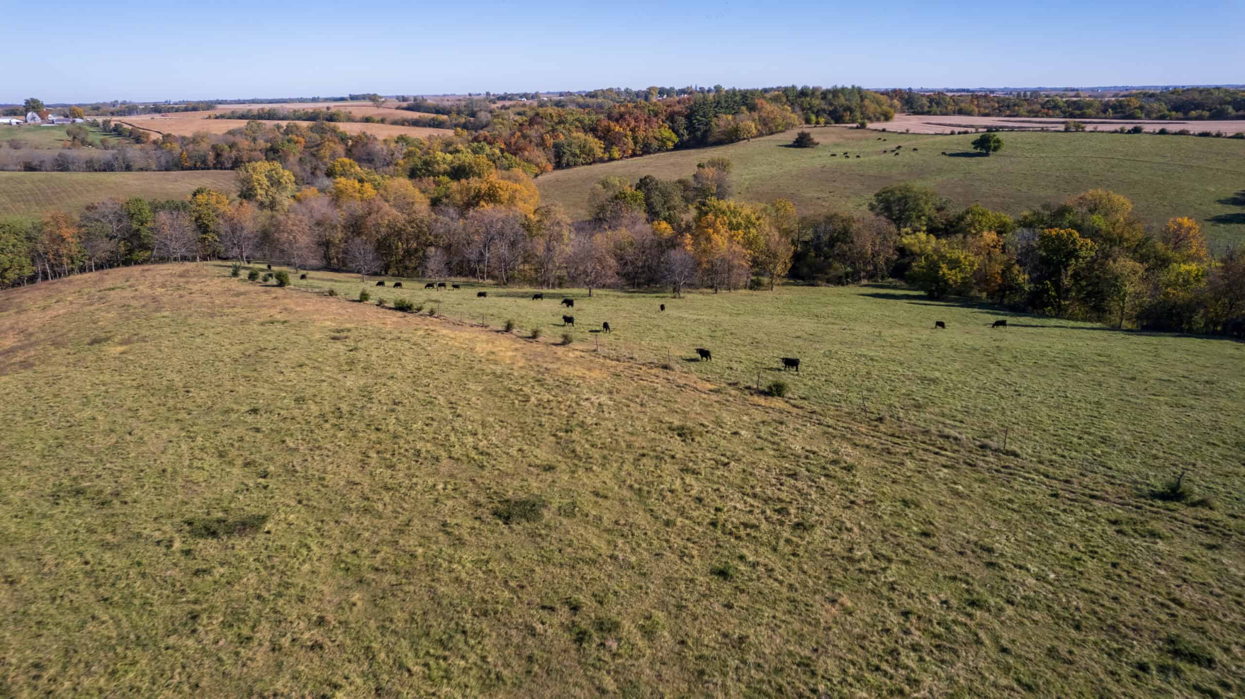Marion County, Iowa – 143+/- Acre Combination Farm with Recreational and Hunting Potential