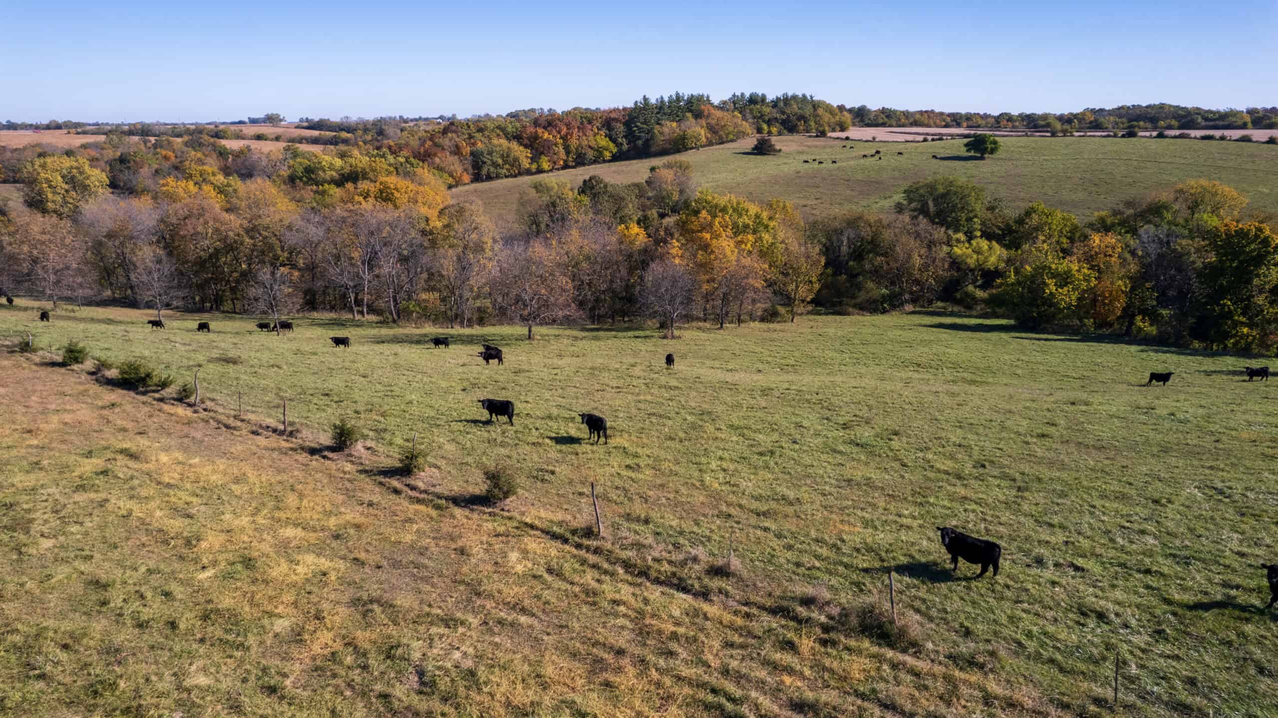 Marion County, Iowa – 143+/- Acre Combination Farm with Recreational and Hunting Potential