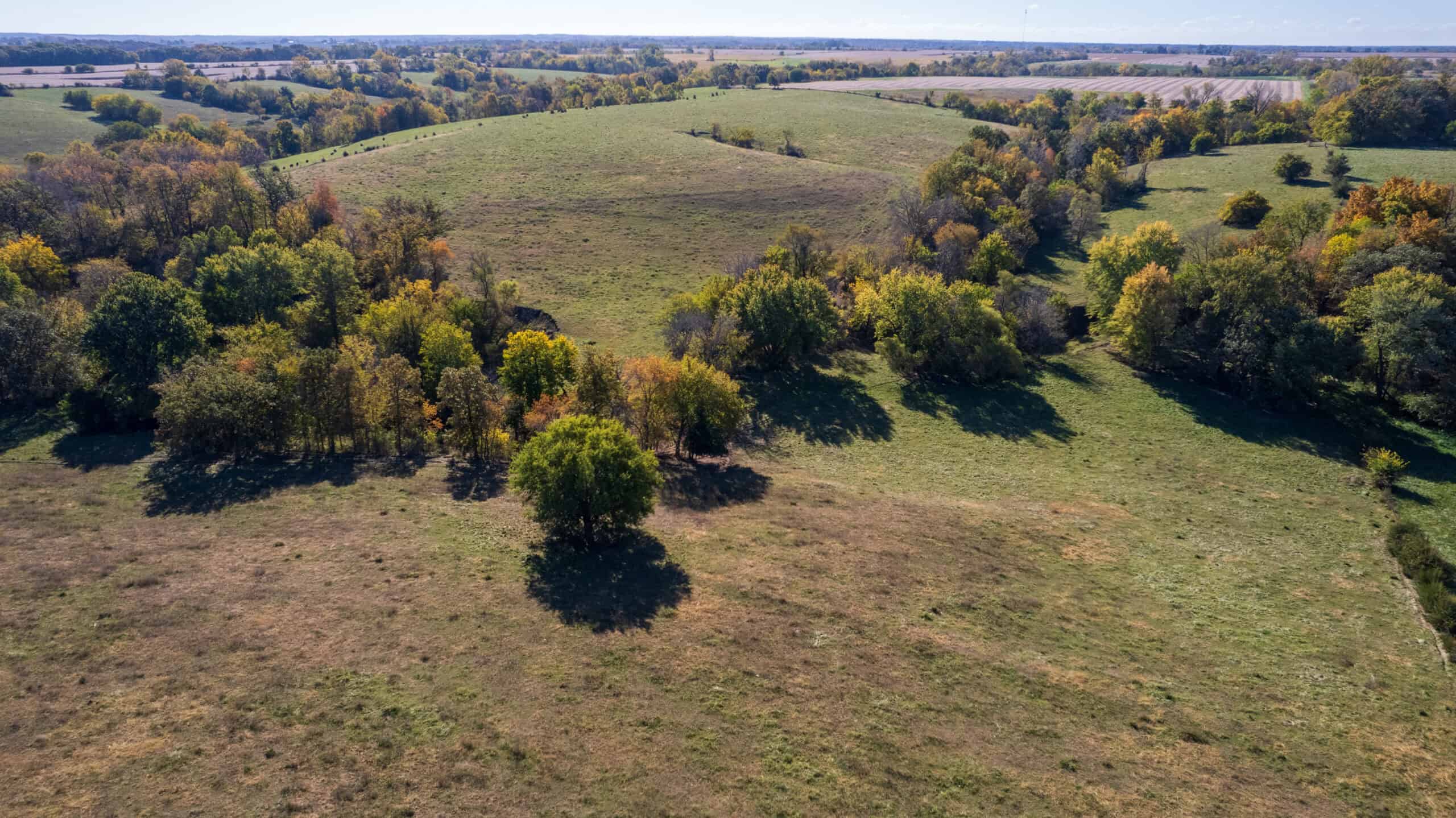 Marion County, Iowa – 143+/- Acre Combination Farm with Recreational and Hunting Potential