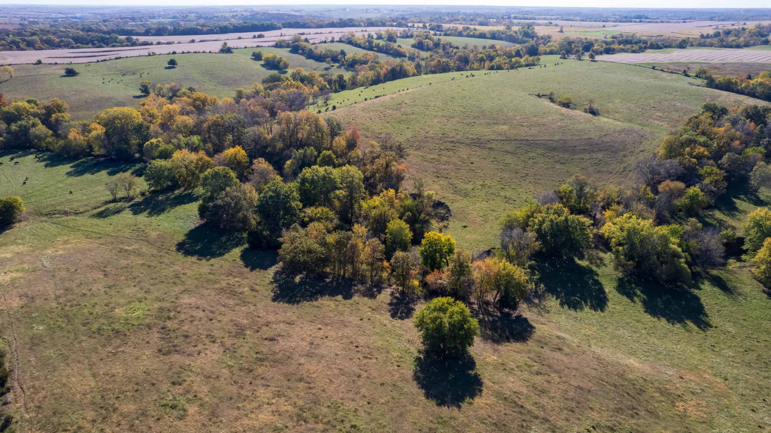 Marion County, Iowa – 143+/- Acre Combination Farm with Recreational and Hunting Potential
