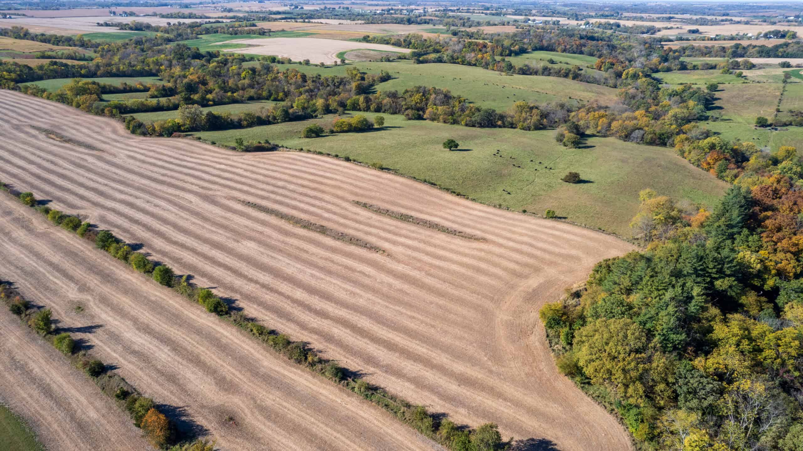Marion County, Iowa – 143+/- Acre Combination Farm with Recreational and Hunting Potential