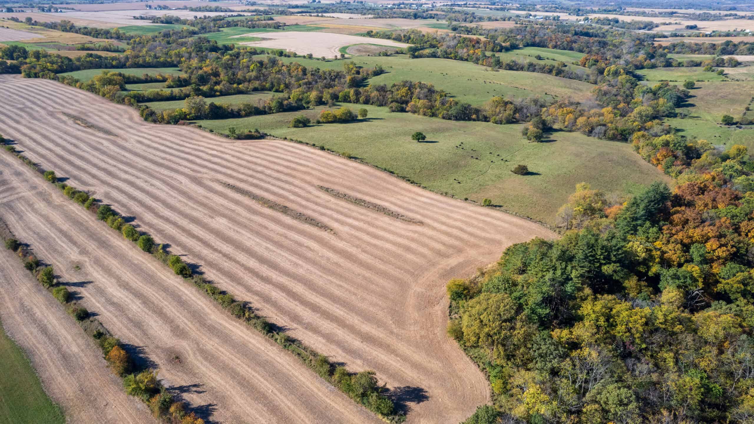 Marion County, Iowa – 143+/- Acre Combination Farm with Recreational and Hunting Potential