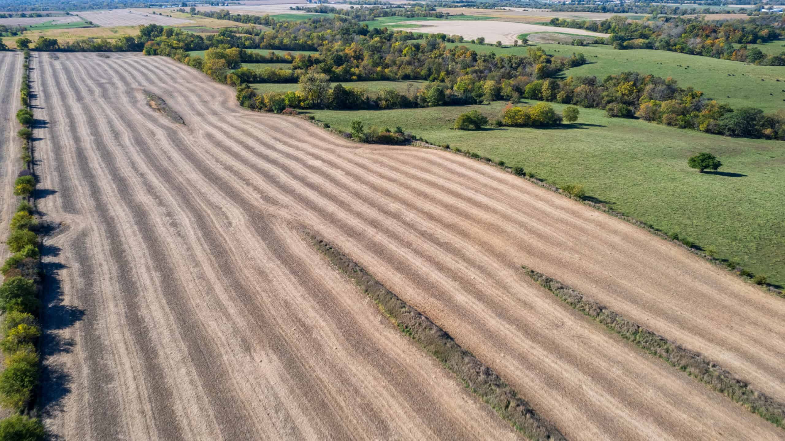 Marion County, Iowa – 143+/- Acre Combination Farm with Recreational and Hunting Potential