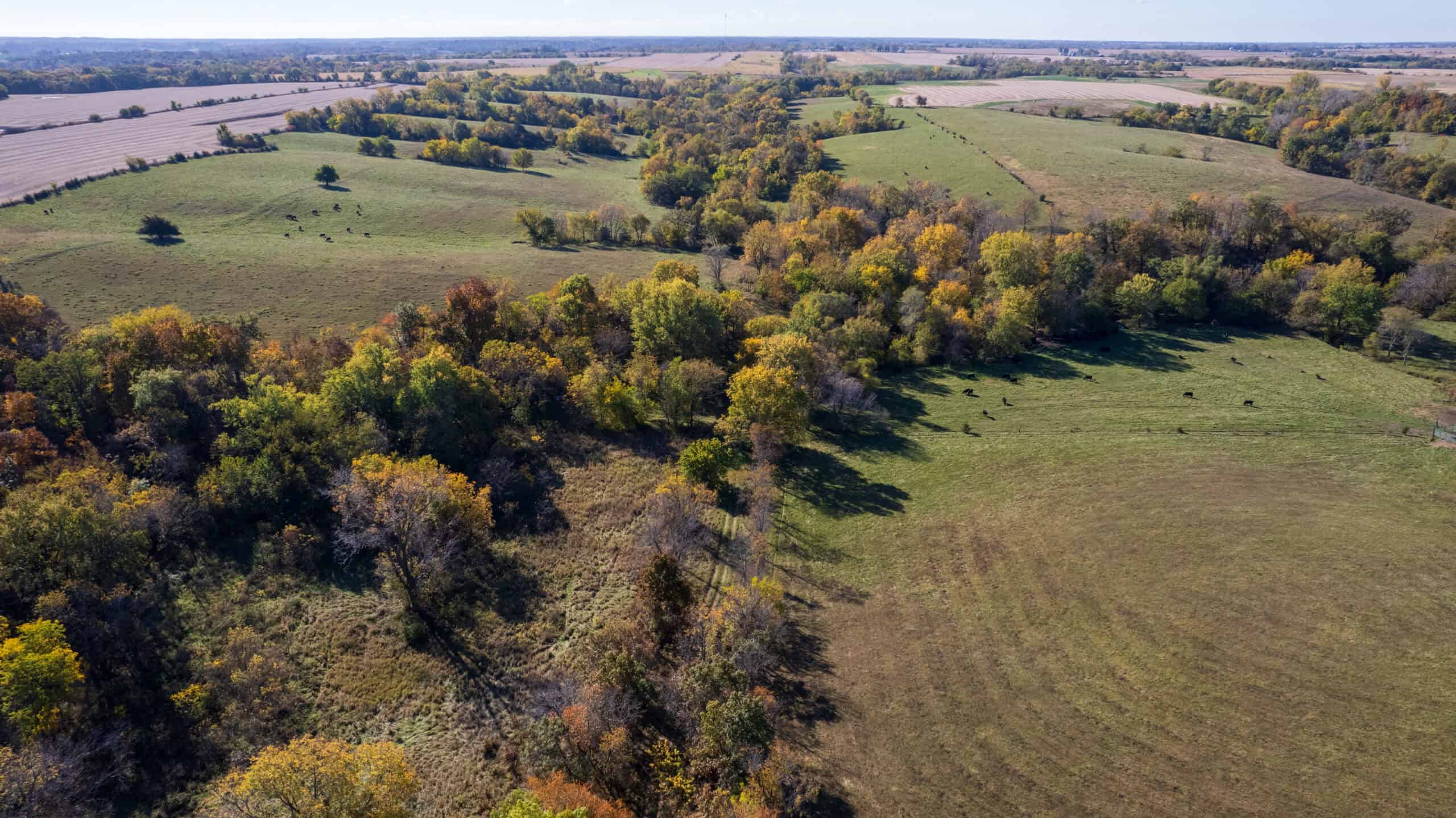 Marion County Farm with Remodeled Home