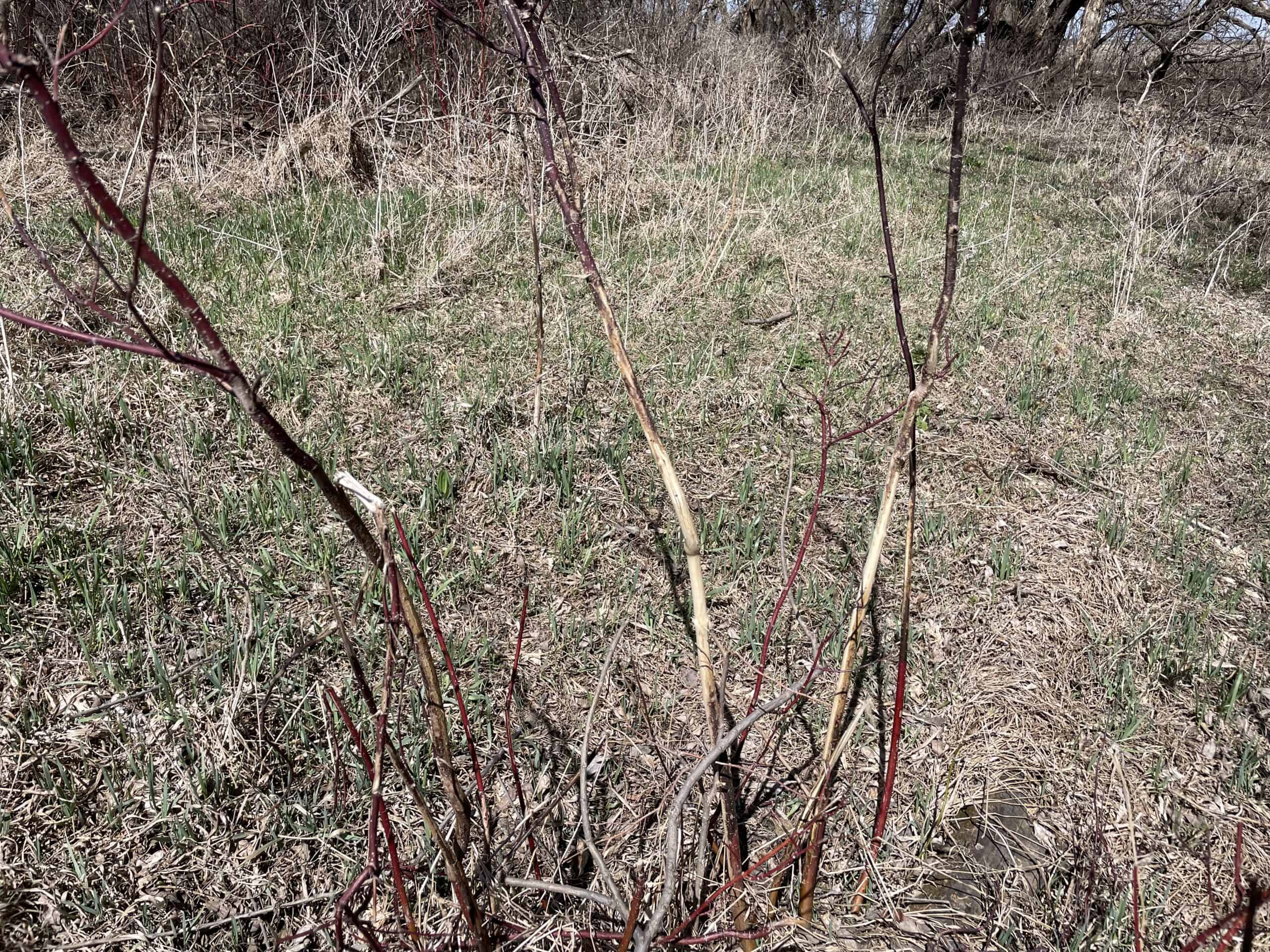 163.8 Deeded Acres With Highly Productive Farm Land (CPI: 91.1) | Farm, Home & Hunting Land