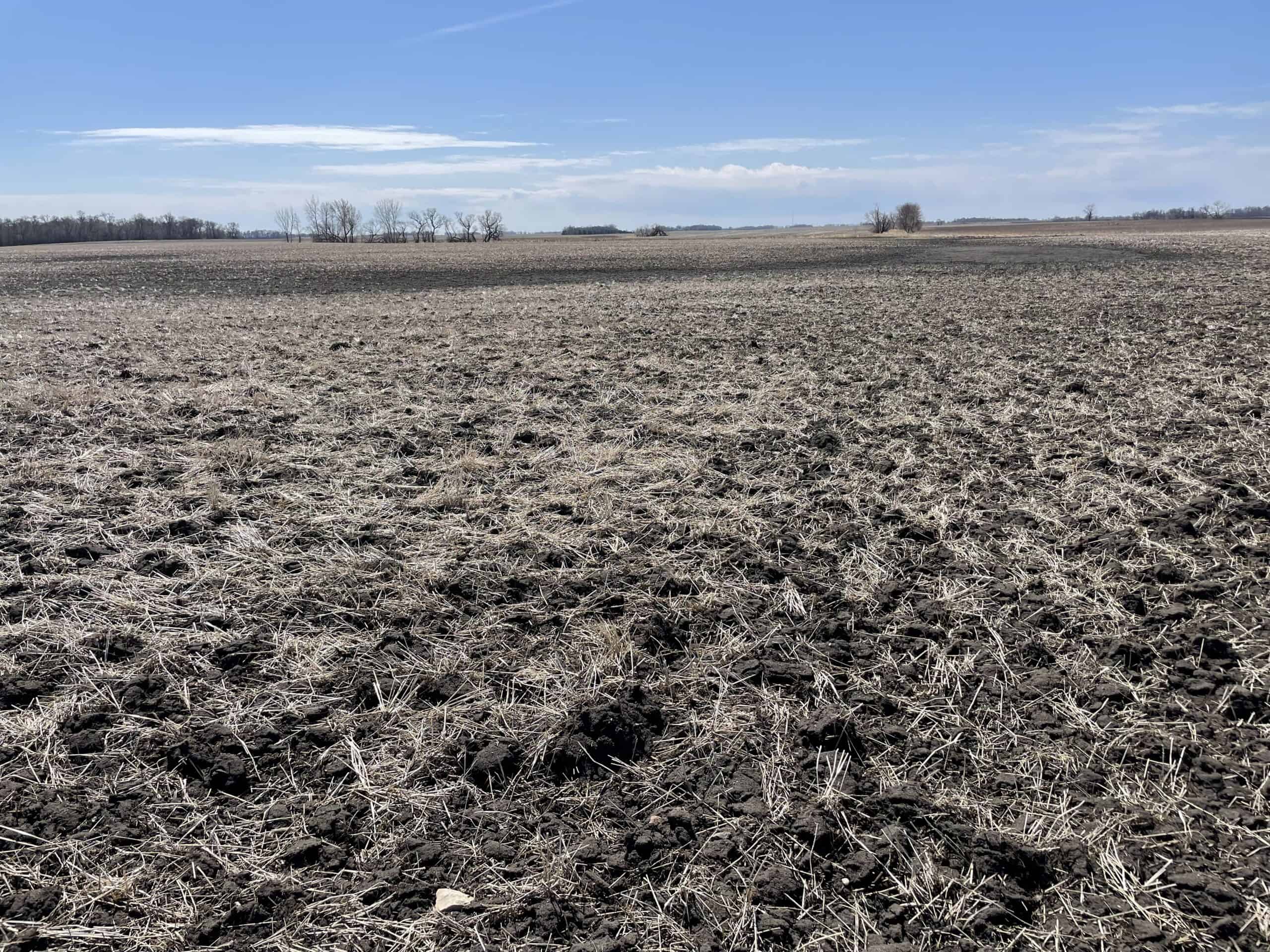163.8 Deeded Acres With Highly Productive Farm Land (CPI: 91.1) | Farm, Home & Hunting Land