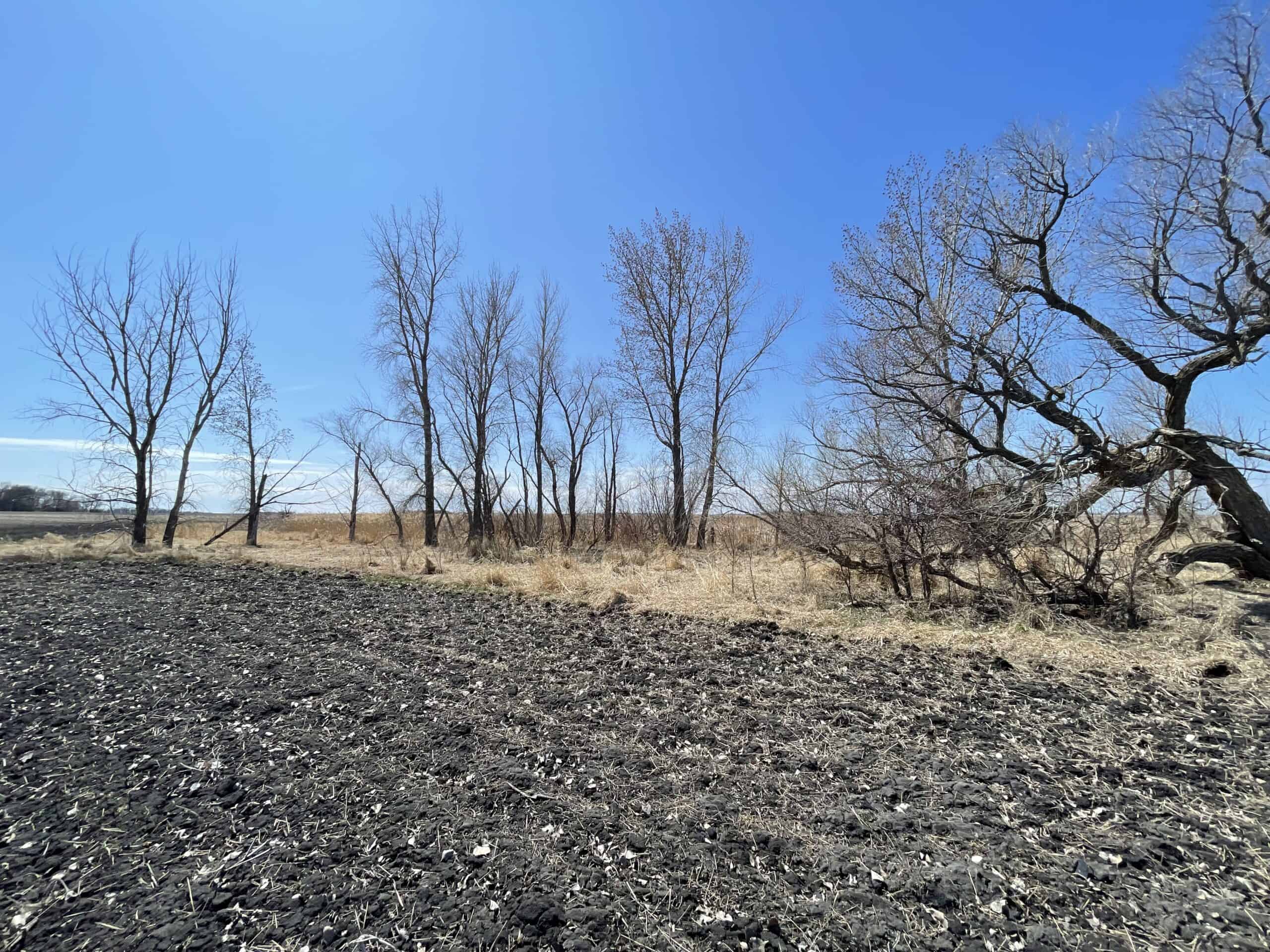 163.8 Deeded Acres With Highly Productive Farm Land (CPI: 91.1) | Farm, Home & Hunting Land