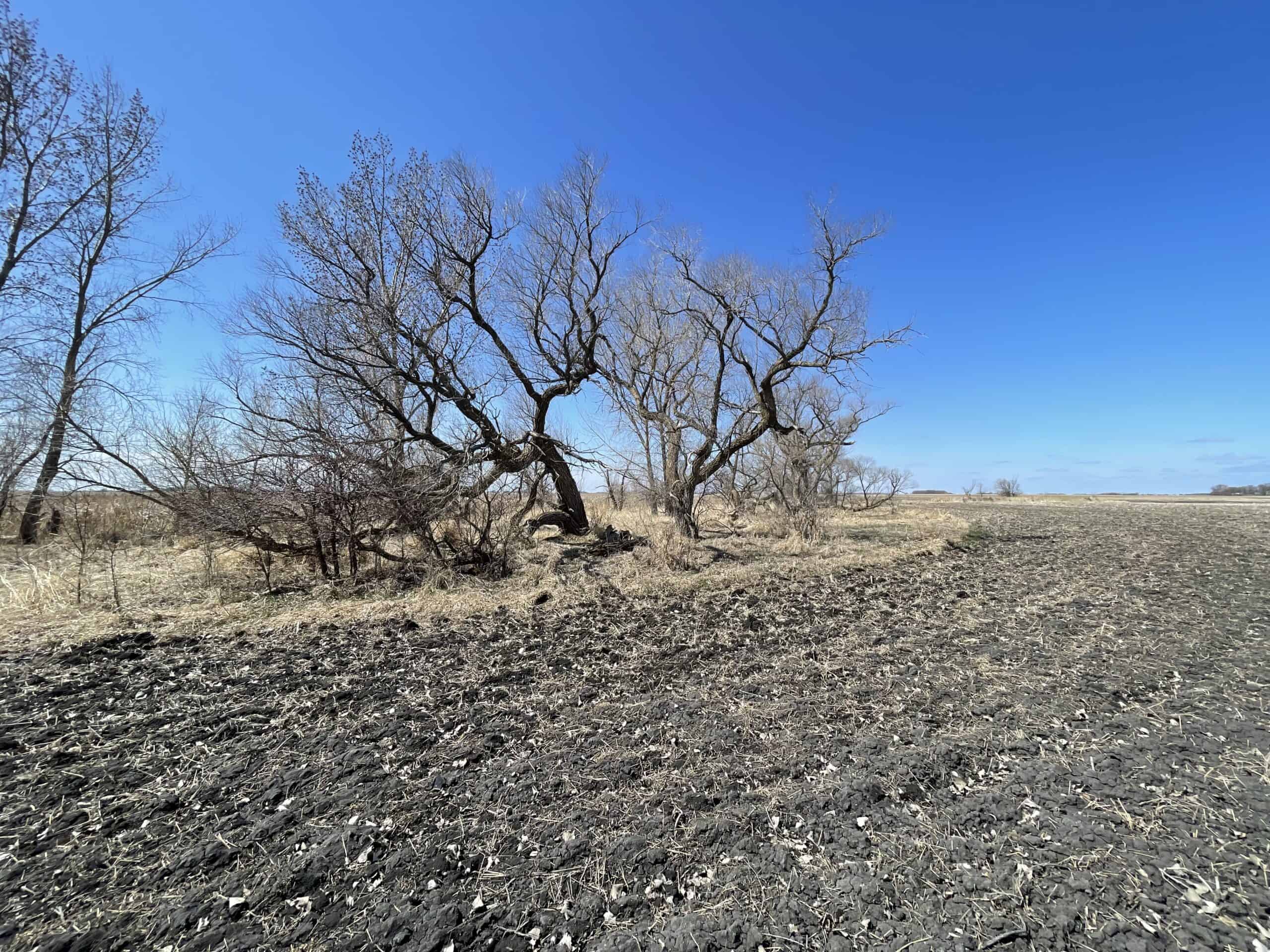 163.8 Deeded Acres With Highly Productive Farm Land (CPI: 91.1) | Farm, Home & Hunting Land