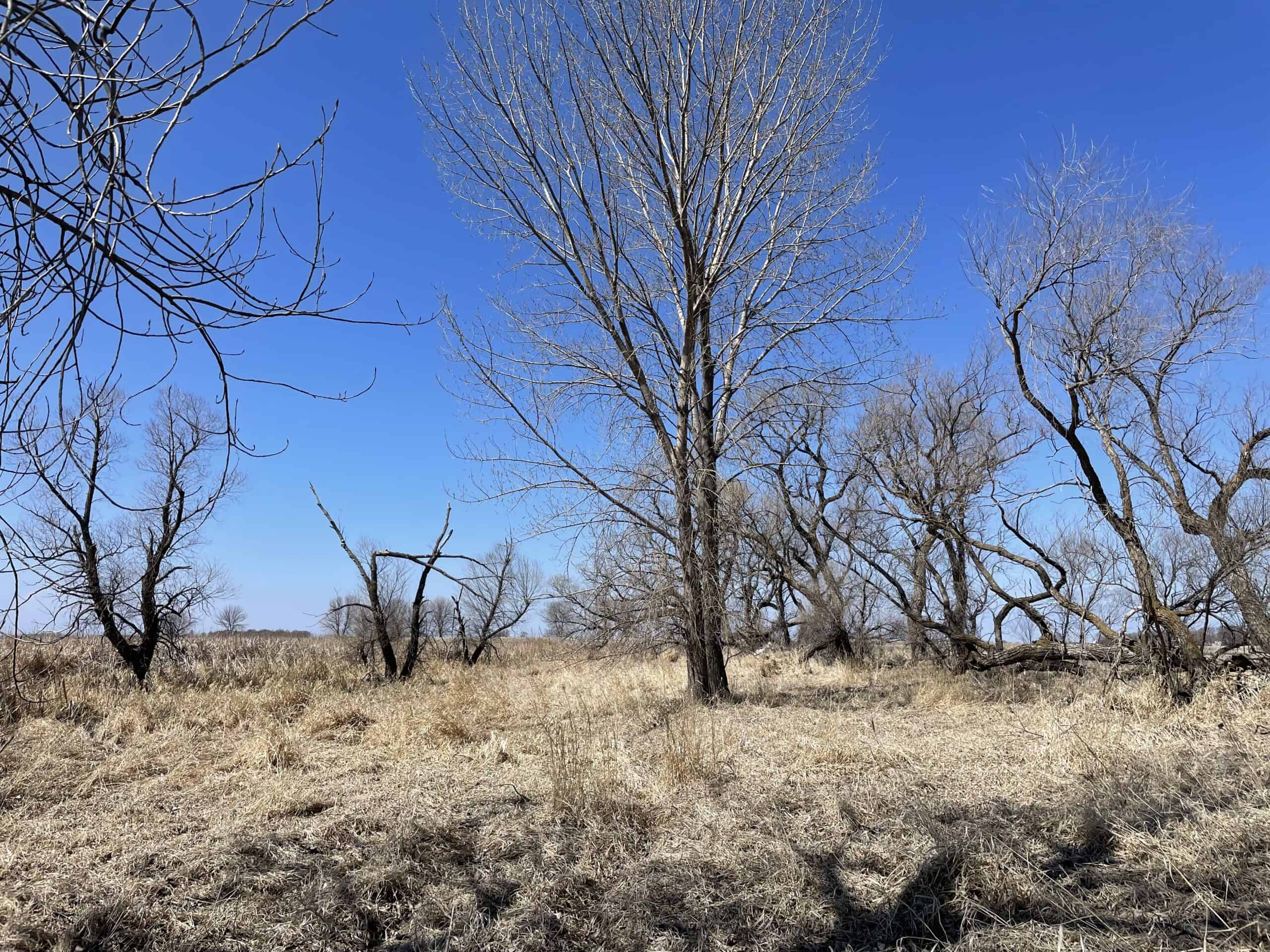 163.8 Deeded Acres With Highly Productive Farm Land (CPI: 91.1) | Farm, Home & Hunting Land