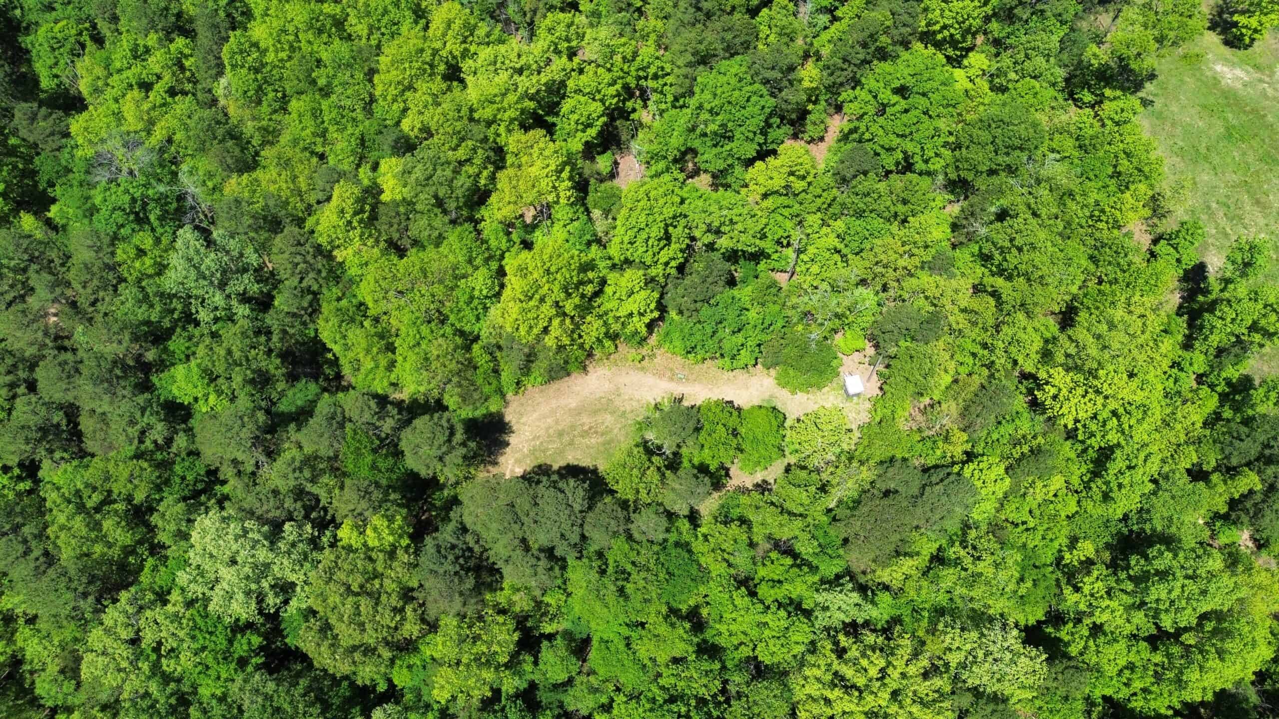 COUNTRY HOME AND LAND FOR SALE IN NORTH CENTRAL ARKANSAS