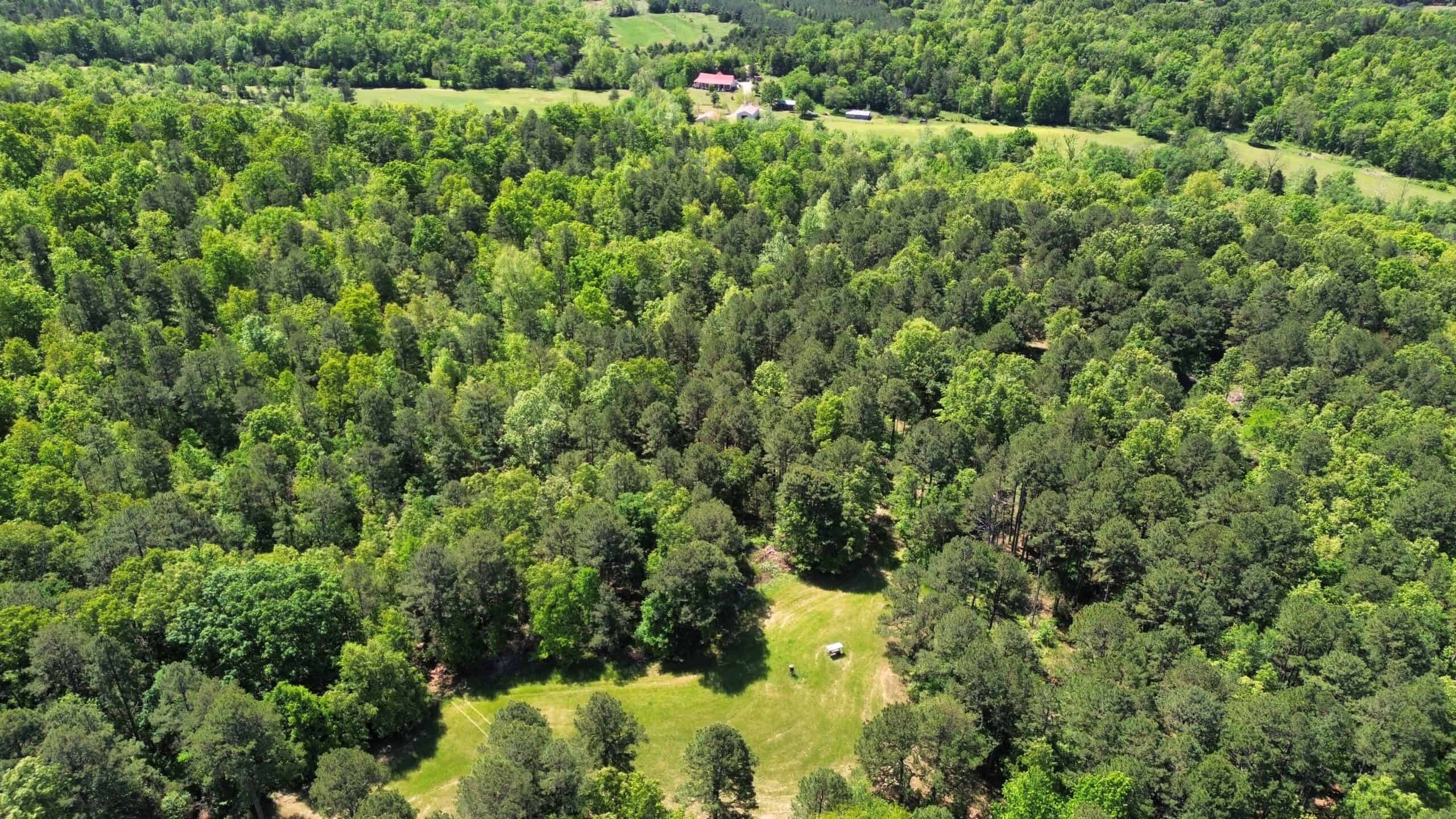COUNTRY HOME AND LAND FOR SALE IN NORTH CENTRAL ARKANSAS