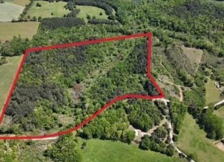 Pickens Creek Tract – 42 acres in Elbert County, GA