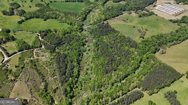 Pickens Creek Tract – 42 acres in Elbert County, GA