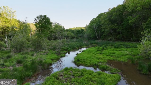 Pickens Creek Tract – 42 acres in Elbert County, GA