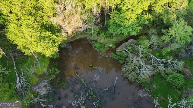 Pickens Creek Tract – 42 acres in Elbert County, GA