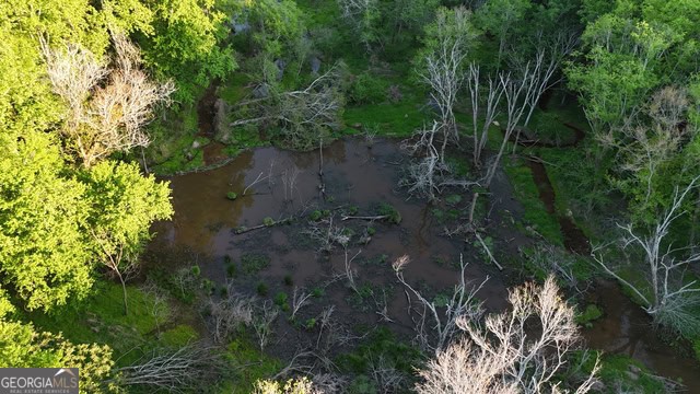 Pickens Creek Tract – 42 acres in Elbert County, GA