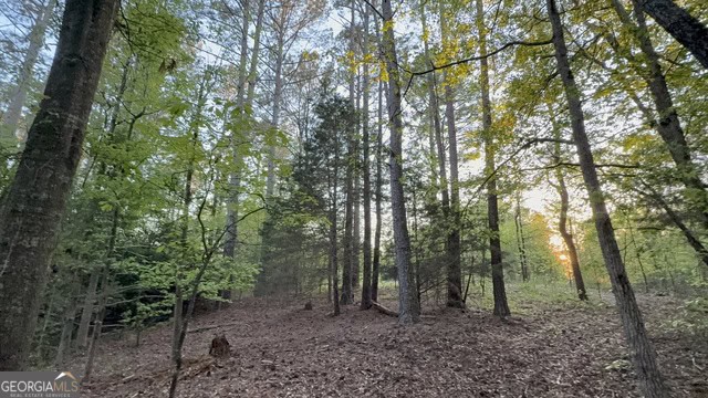 Pickens Creek Tract – 42 acres in Elbert County, GA