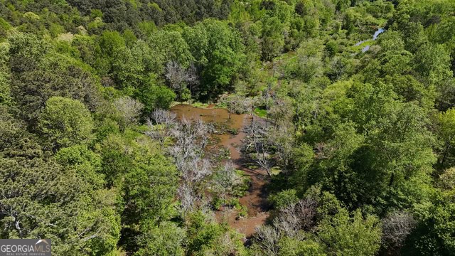 Pickens Creek Tract – 42 acres in Elbert County, GA
