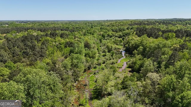 Pickens Creek Tract – 42 acres in Elbert County, GA