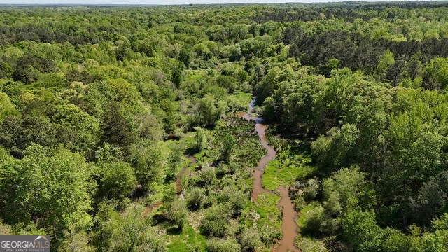 Pickens Creek Tract – 42 acres in Elbert County, GA