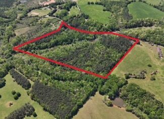 Pickens Creek Tract – 42 acres in Elbert County, GA