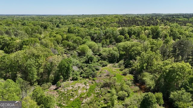 Pickens Creek Tract – 42 acres in Elbert County, GA