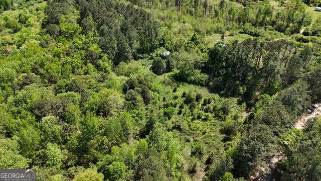 Pickens Creek Tract – 42 acres in Elbert County, GA