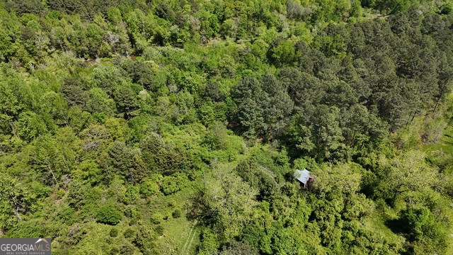 Pickens Creek Tract – 42 acres in Elbert County, GA