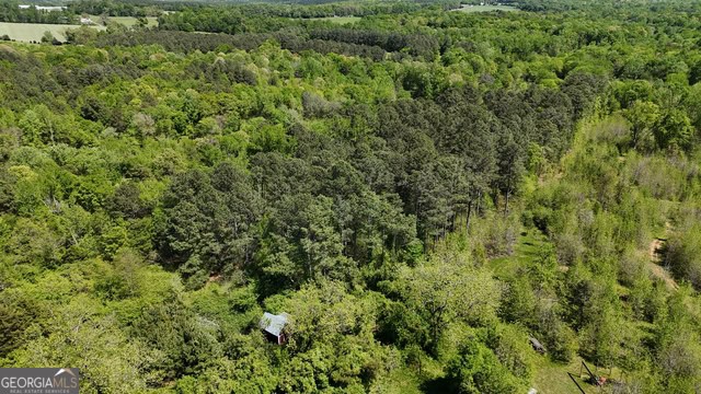 Pickens Creek Tract – 42 acres in Elbert County, GA