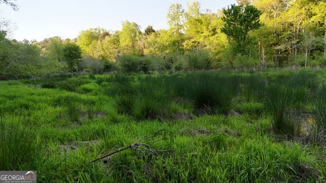 Pickens Creek Tract – 42 acres in Elbert County, GA