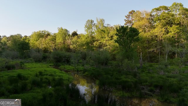 Pickens Creek Tract – 42 acres in Elbert County, GA