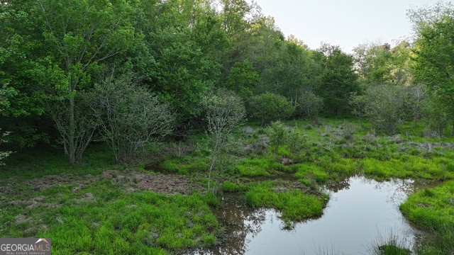 Pickens Creek Tract – 42 acres in Elbert County, GA