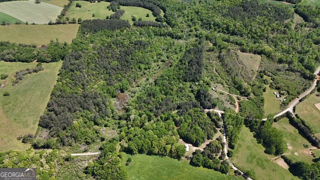 Pickens Creek Tract – 42 acres in Elbert County, GA