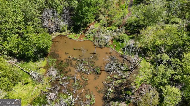 Pickens Creek Tract – 42 acres in Elbert County, GA