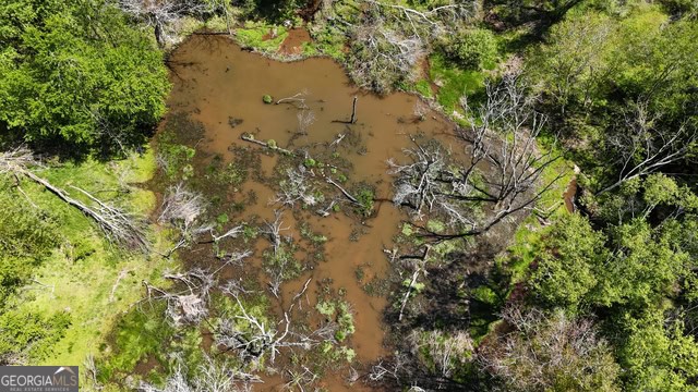 Pickens Creek Tract – 42 acres in Elbert County, GA