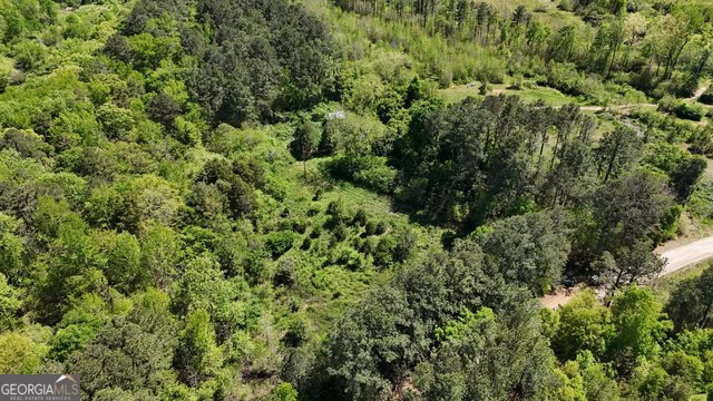 Pickens Creek Tract – 42 acres in Elbert County, GA