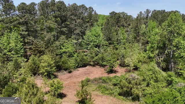 Pickens Creek Tract – 42 acres in Elbert County, GA