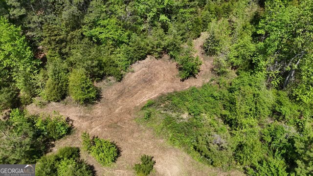 Pickens Creek Tract – 42 acres in Elbert County, GA