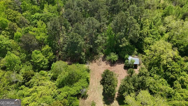 Pickens Creek Tract – 42 acres in Elbert County, GA