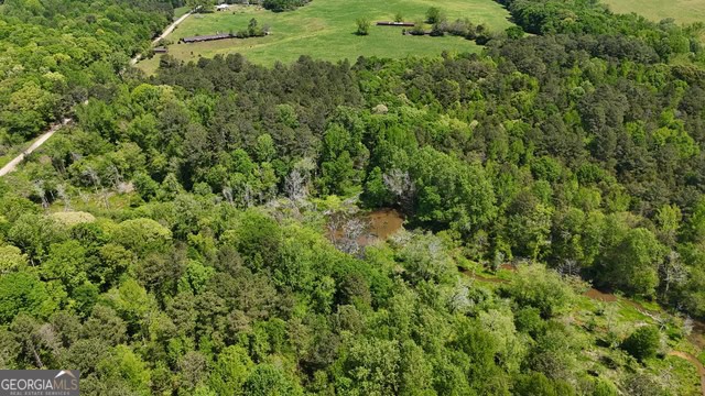 Pickens Creek Tract – 42 acres in Elbert County, GA