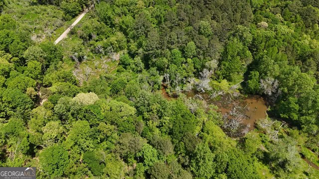 Pickens Creek Tract – 42 acres in Elbert County, GA