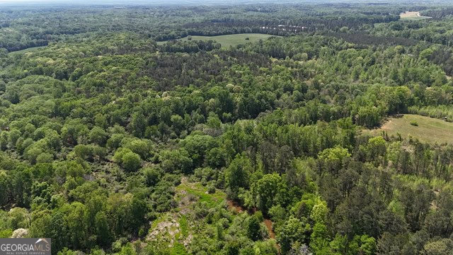 Pickens Creek Tract – 42 acres in Elbert County, GA