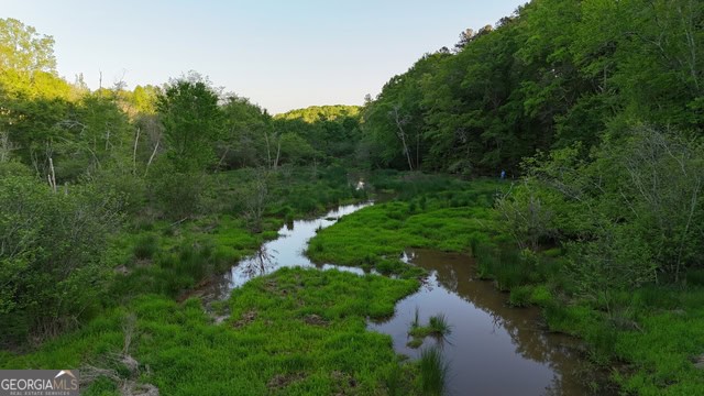 Pickens Creek Tract – 42 acres in Elbert County, GA