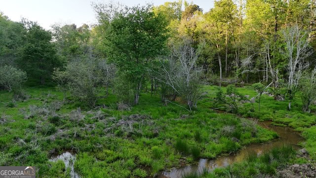 Pickens Creek Tract – 42 acres in Elbert County, GA